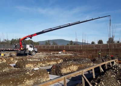 Arriendo de grúas pluma en Villarrica